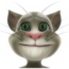 أيقونة Talking Tom Cat