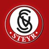 SK Vorwärts Steyr icon