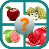 Guess this fruit icon