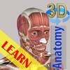 3D Anatomy Lite icon