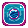 Delphinus Memories icon