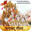 Icona di Bhagavad-Gita in Hindi