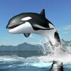 Orca Survival Simulator icon