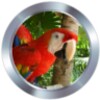 Animal Ringtones icon