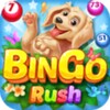 Biểu tượng Bingo Rush