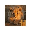 Baby Animal Jigsaw Puzzles icon