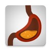 Healthy Digestion Foods Diet icon