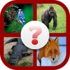 Guess the Animal icon