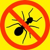Greedy Ants Smash Free icon