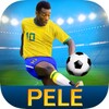 Pele: Soccer Legend icon