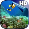 Colorful Fishes Live Wallpaper icon