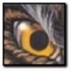 Lionheart Remake icon