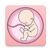 4. Pregnancy tracker week by week icon