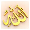 Icono de 99 Names of Allah Hindi | Alla