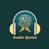 Pro Quran All Reciters icon