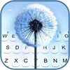 Dandelion Keyboard Background icon
