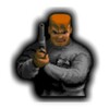 Wolfenstein 3D Touch icon