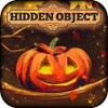 Hidden Object - Pumpkin Patch Free icon