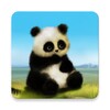 أيقونة Animated Panda Live Wallpaper