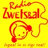 Radio Zwetsbal icon