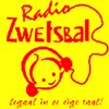 Icon von Radio Zwetsbal