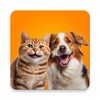 Prank Pet: Funny Pet World 图标