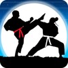 Biểu tượng Karate Fighter Real battles