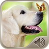 Dog Sounds Ringtones icon