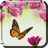 Icône Spring Flowers Live Wallpaper