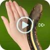 Insects Prank simgesi