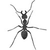 The_Ant_Colony icon