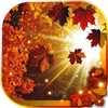 Autumn Sun HD live wallpaper icon