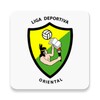 Icono de Liga Oriental