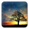 أيقونة Sunset Hill Live Wallpaper - Free