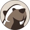 DBeaver 图标