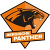 Bergische Panther icon