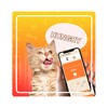 Icône Cat Translator Simulator App