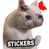 Cat Memes Stickers WASticker icon