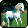 White Horse Wallpapers icon