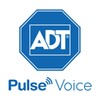 Pulse Voice icon