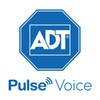أيقونة Pulse Voice