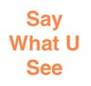 Say What U See icon