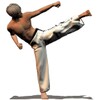 Taekwondo Formen (Sponsored) icon