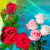 Icono de Rosas Con Frases Para Dedicar