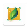 Plant-X icon