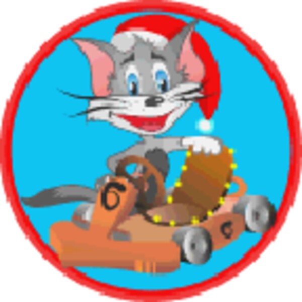 Tom Rally for Android - Download the APK from Uptodown