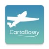 Икона CartaBossy