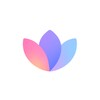 bloomsplash icon