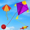 beach flying kite icon