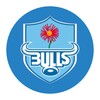 Blue Bulls icon